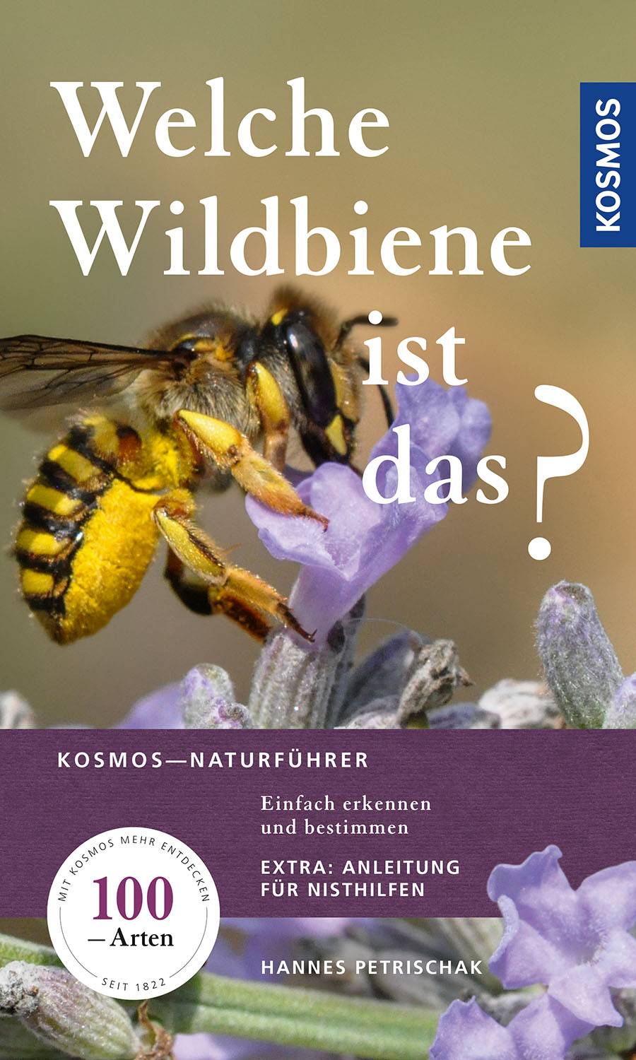 Welche Wildbiene ist das? Einfach erkennen und bestimmen, Extra: Anleitung für Nisthilfen
