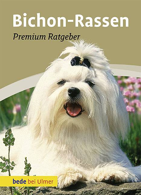 Bichon-Rassen Malteser, Havaneser, Bichon Frisé, Bologneser, Löwchen, Bolonka zwetna, Coton de Tuléar