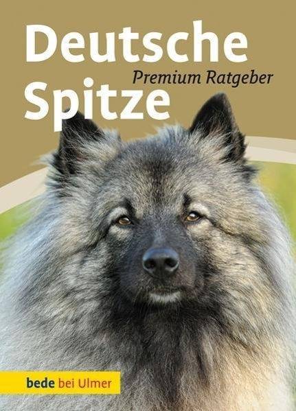 Deutsche Spitze Wolfs-, Groß-, Mittel-, Klein-, Zwergspitz