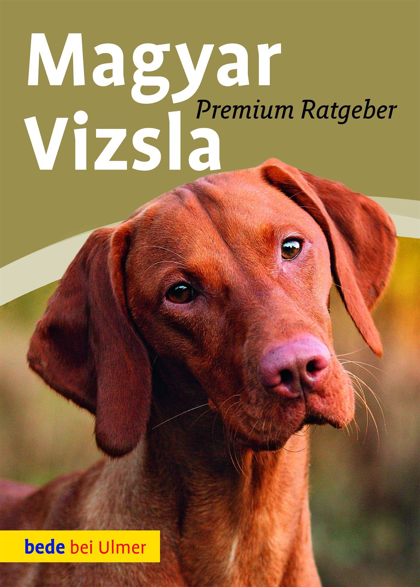 Magyar Vizsla Premium Ratgeber - bede bei Ulmer