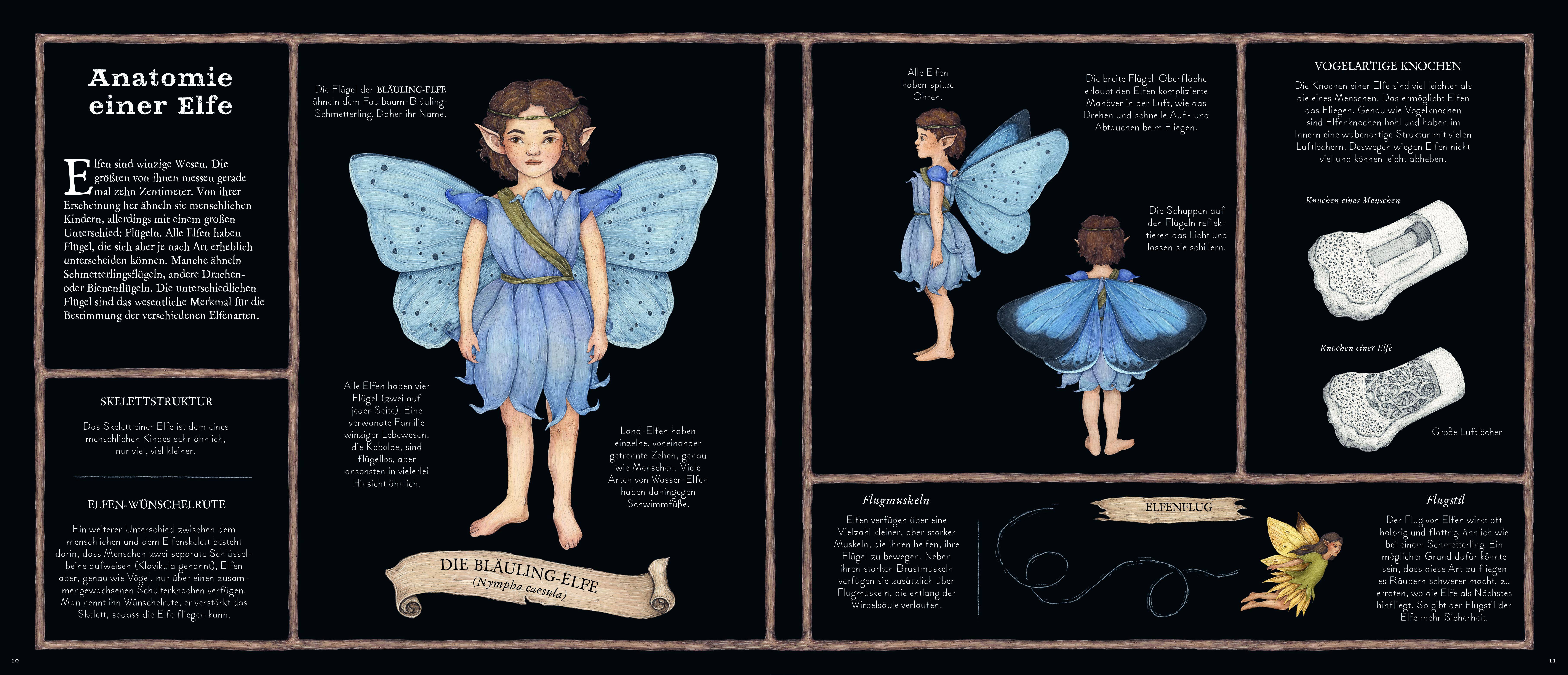 Das große Handbuch der Elfen Forschungsergebnisse von der Professorin Elsie Arbour