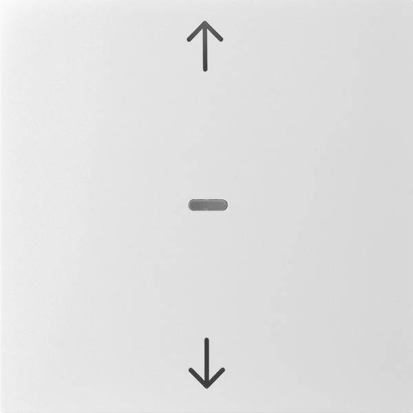 Berker Abdeckung Tastsensor-Modul 80961282