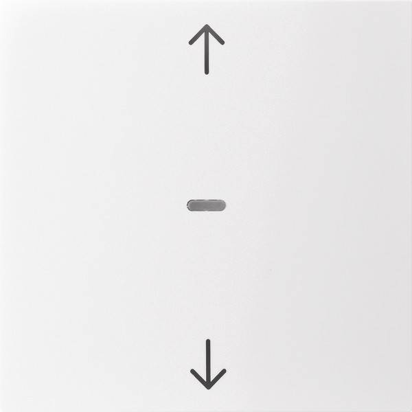 Berker Abdeckung Tastsensor-Modul 80961289