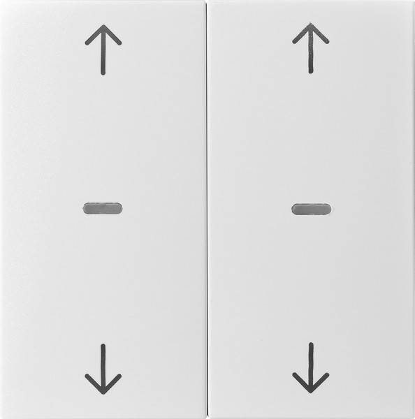 Berker Abdeckung Tastsensor-Modul 80961382