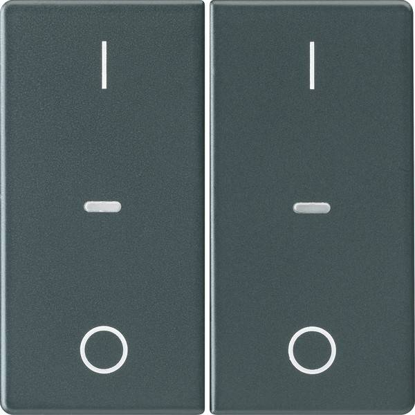 Berker Abdeckung Tastsensor-Modul 80962326