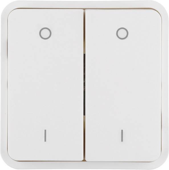 10 Stück Berker Wippe 30423552