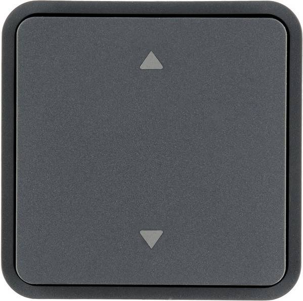 Berker Wippe 30653545