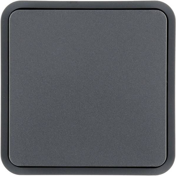 Berker Wippe 6130763545