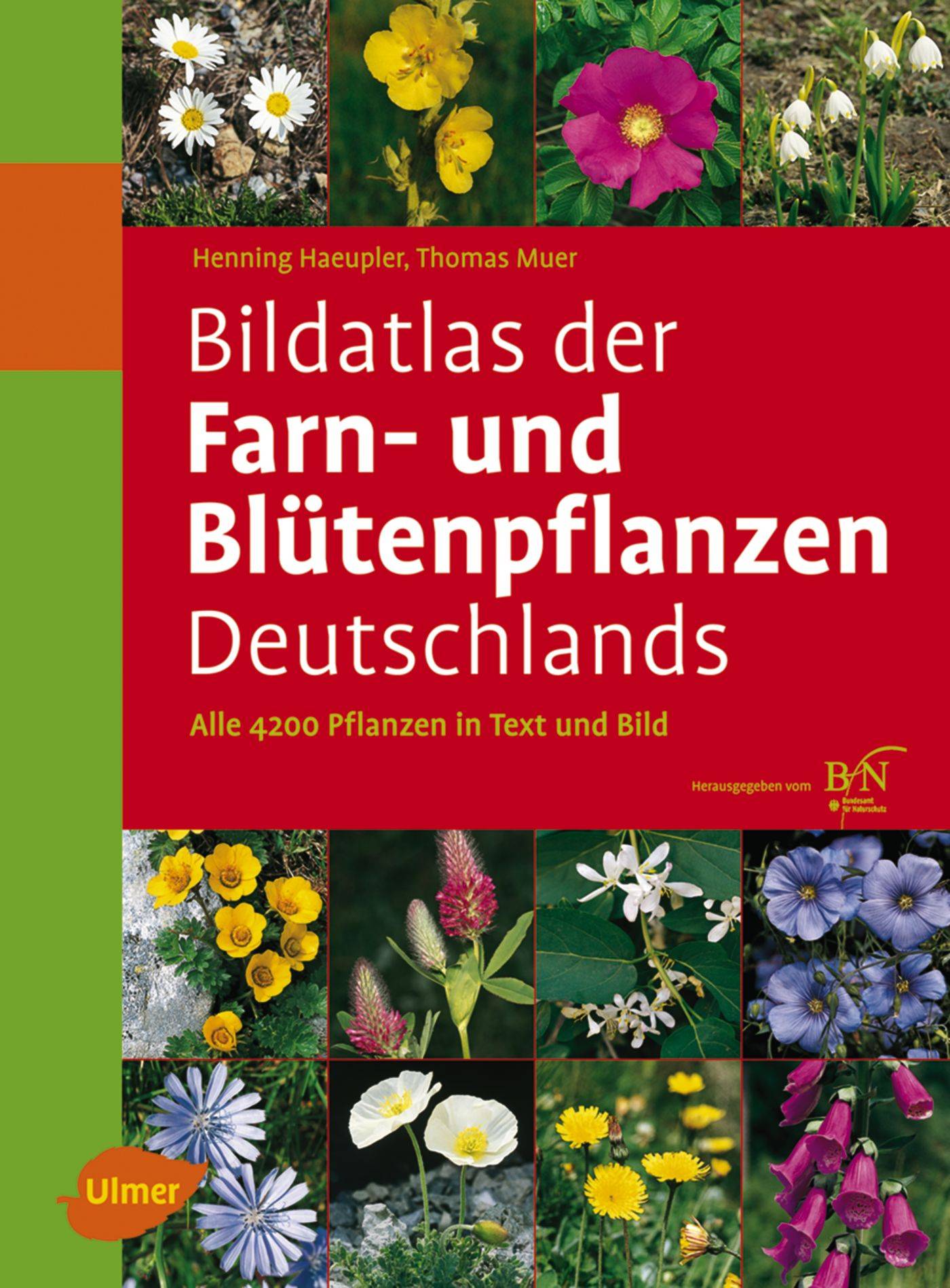 Bildatlas der Farn- und Blütenpflanzen Deutschlands Alle 4200 Pflanzen in Text und Bild