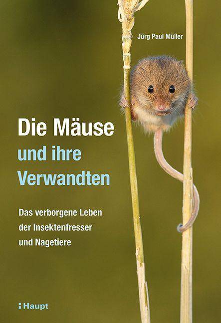 Die Mäuse und ihre Verwandten Das verborgene Leben der Insektenfresser und Nagetiere