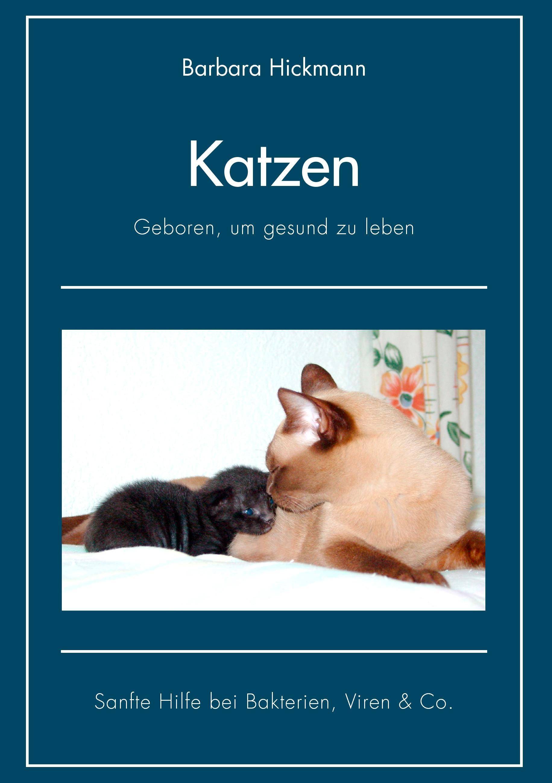Katzen - geboren, um gesund zu leben Sanfte Hilfe bei Bakterien, Viren & Co.