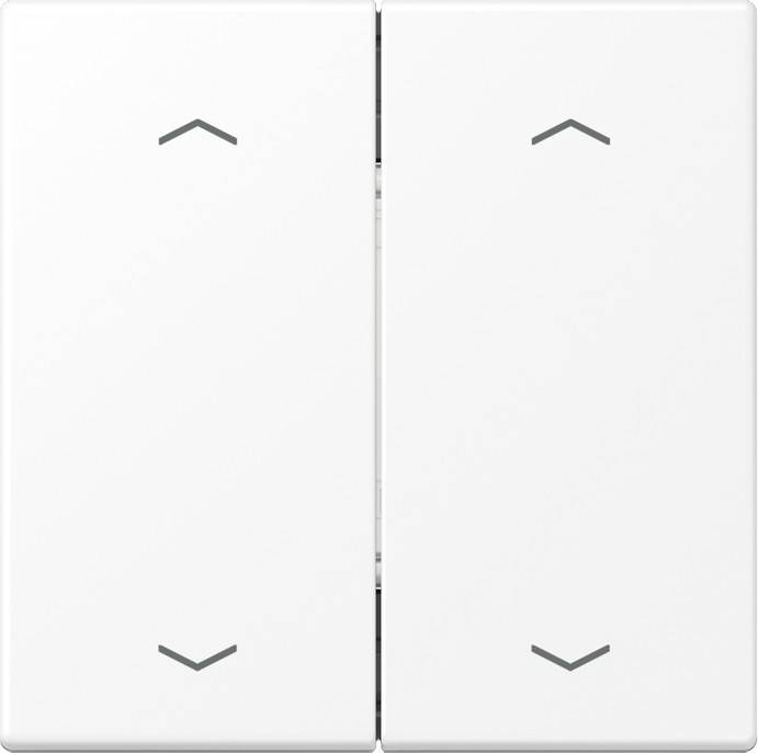 Jung Funk-Wandsender 4-Kanal ENO LS 995 MP WWM