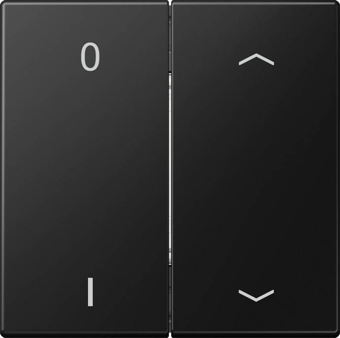 Jung Funk-Wandsender 4-Kanal ENO LS 995 P01 SWM