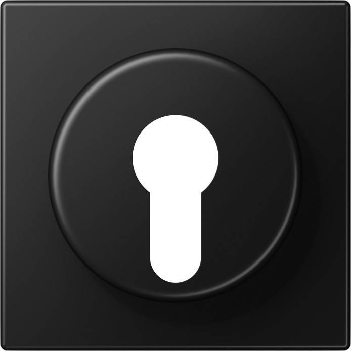 Jung Abdeckung LS 928 SWM