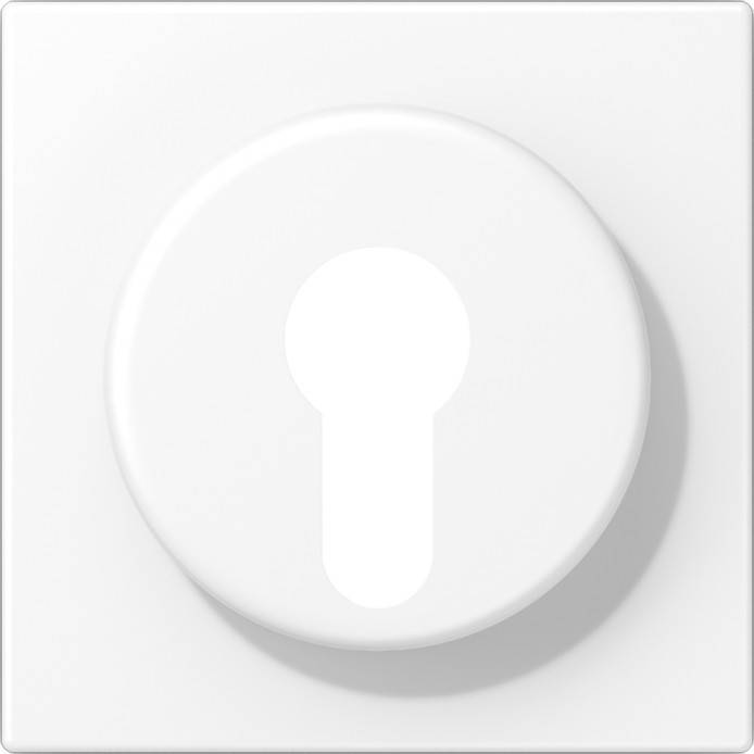 Jung Abdeckung LS 928 WWM