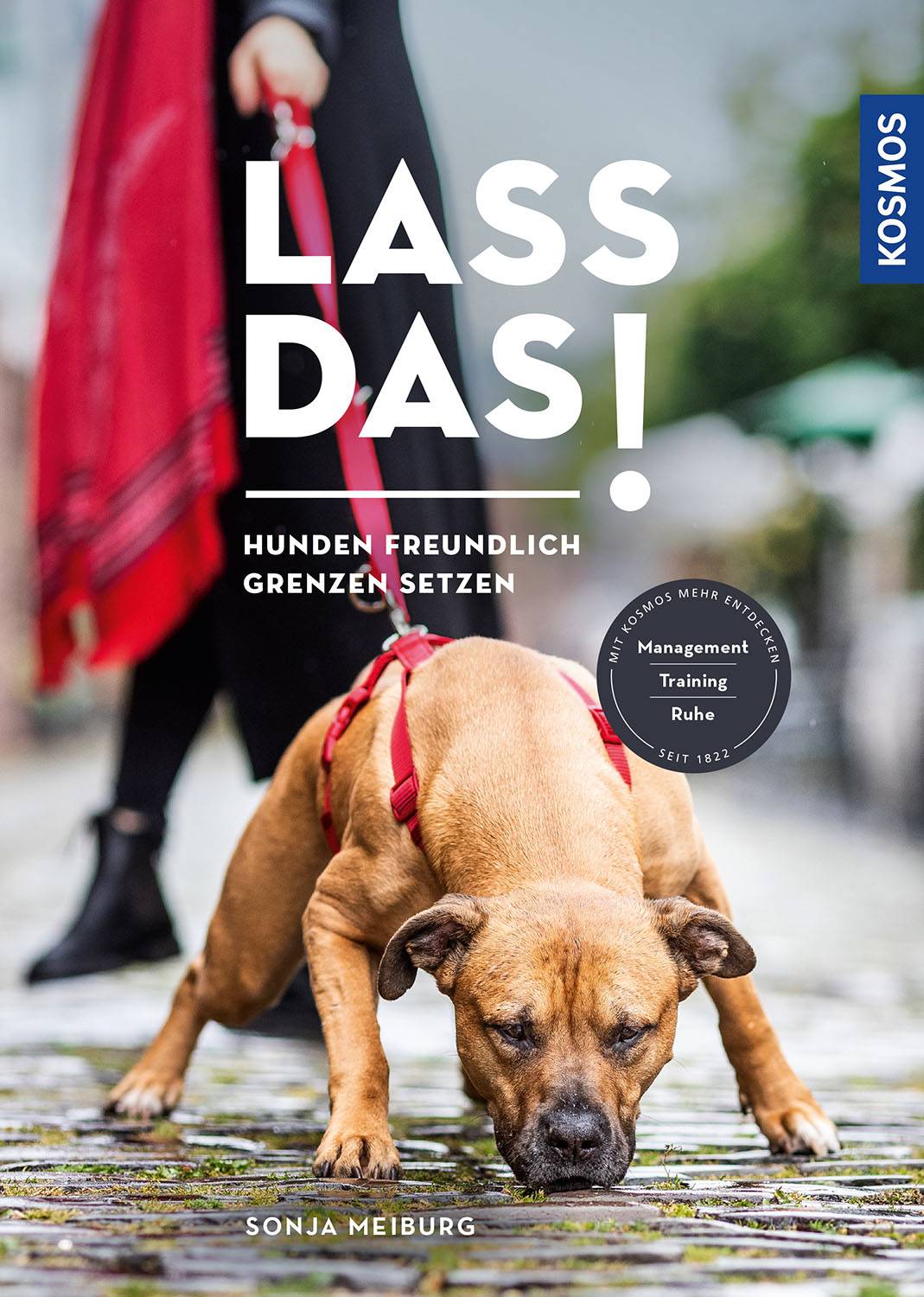Lass das! Hunden freundlich Grenzen setzen