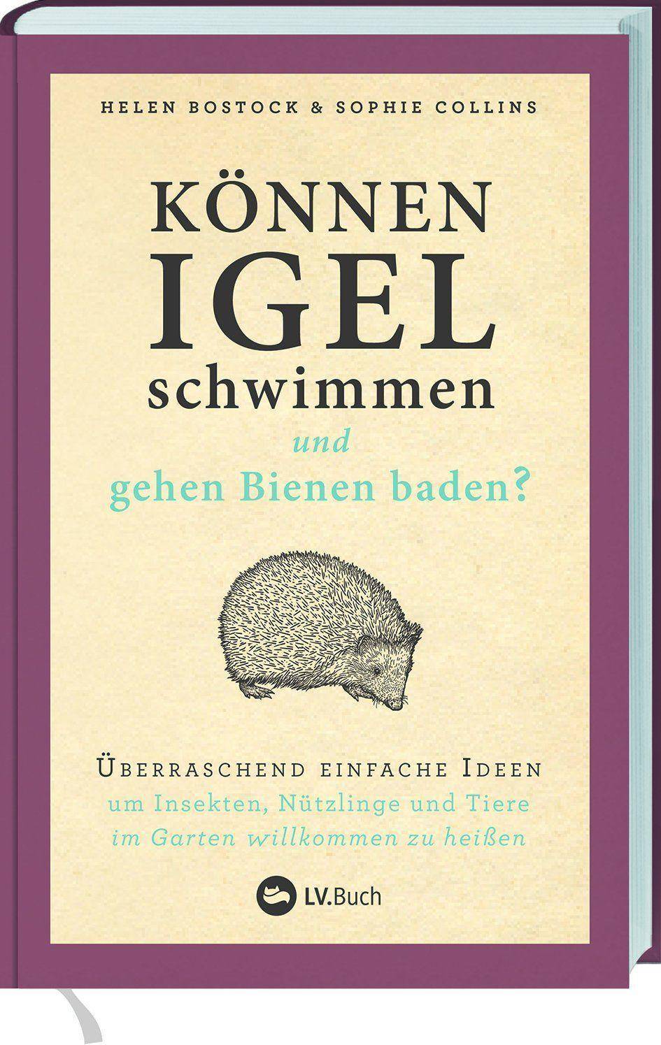 Können Igel schwimmen und gehen Bienen baden? Überraschend einfache Ideen, um Insekten, Nützlinge und Tiere im Garten willkommen zu heißen