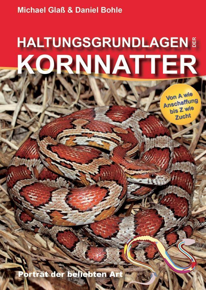 Haltungsgrundlagen der Kornnatter Von A wie Anschaffung bis Z wie Zucht