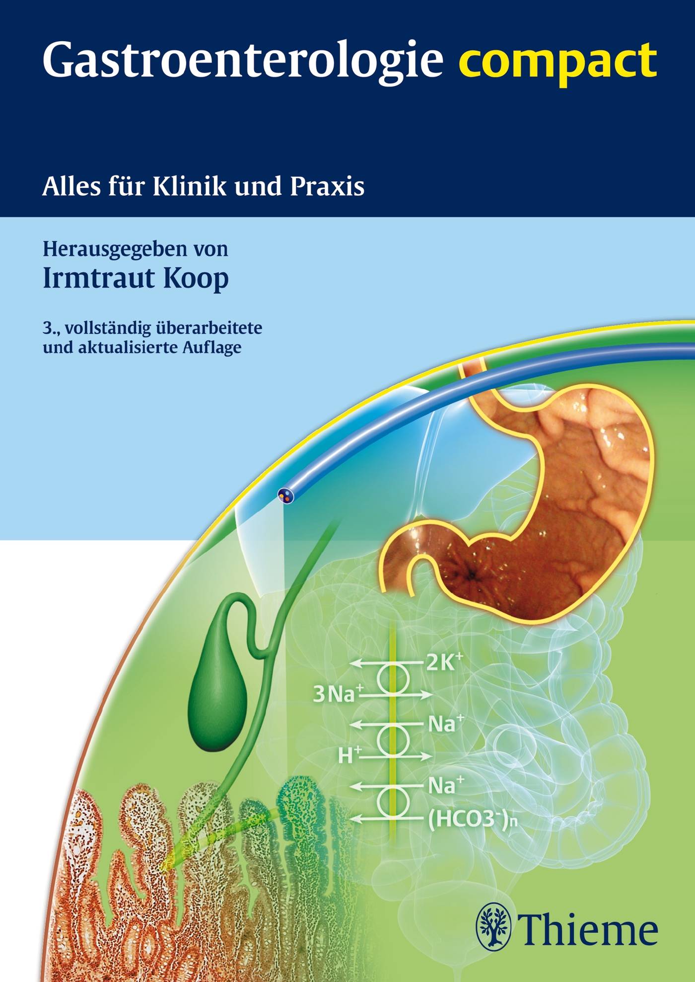 Gastroenterologie compact Alles für Klinik und Praxis