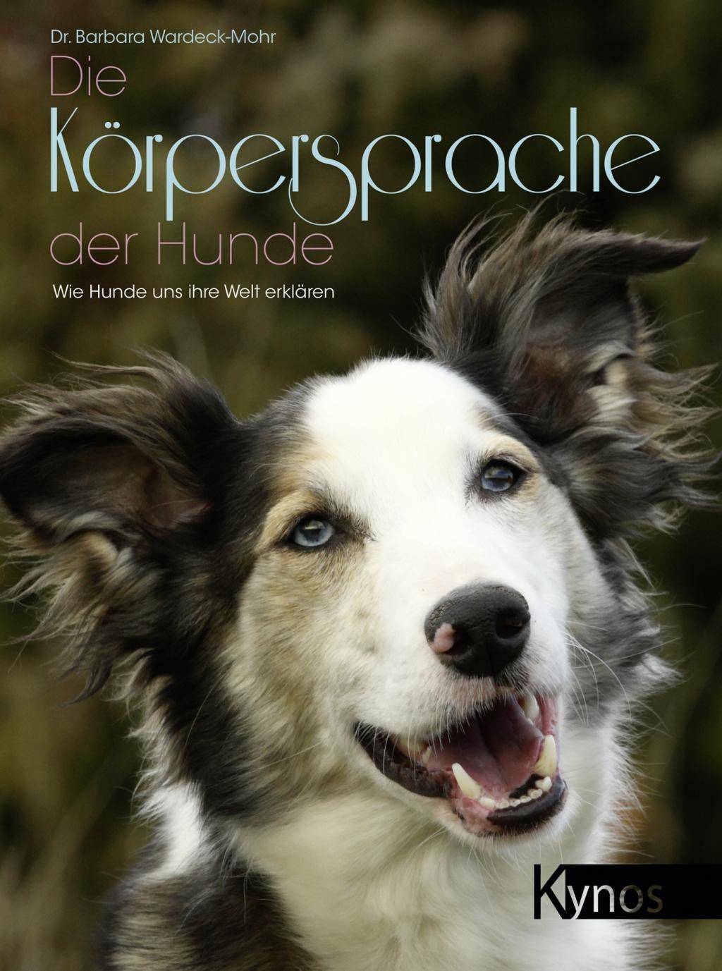 Die Körpersprache der Hunde Wie Hunde uns ihre Welt erklären