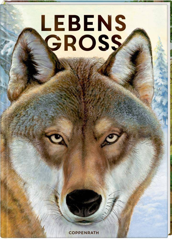 Lebensgroß Tiere des Waldes