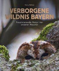 Verborgene Wildnis Bayern Faszinierende Natur vor unserer Haustür
