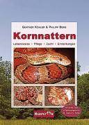 Kornnattern Lebensweise, Pflege, Zucht, Erkrankungen. Mit Extra-Teil: Farbvarianten v. M. Glaß u. D. Bohle