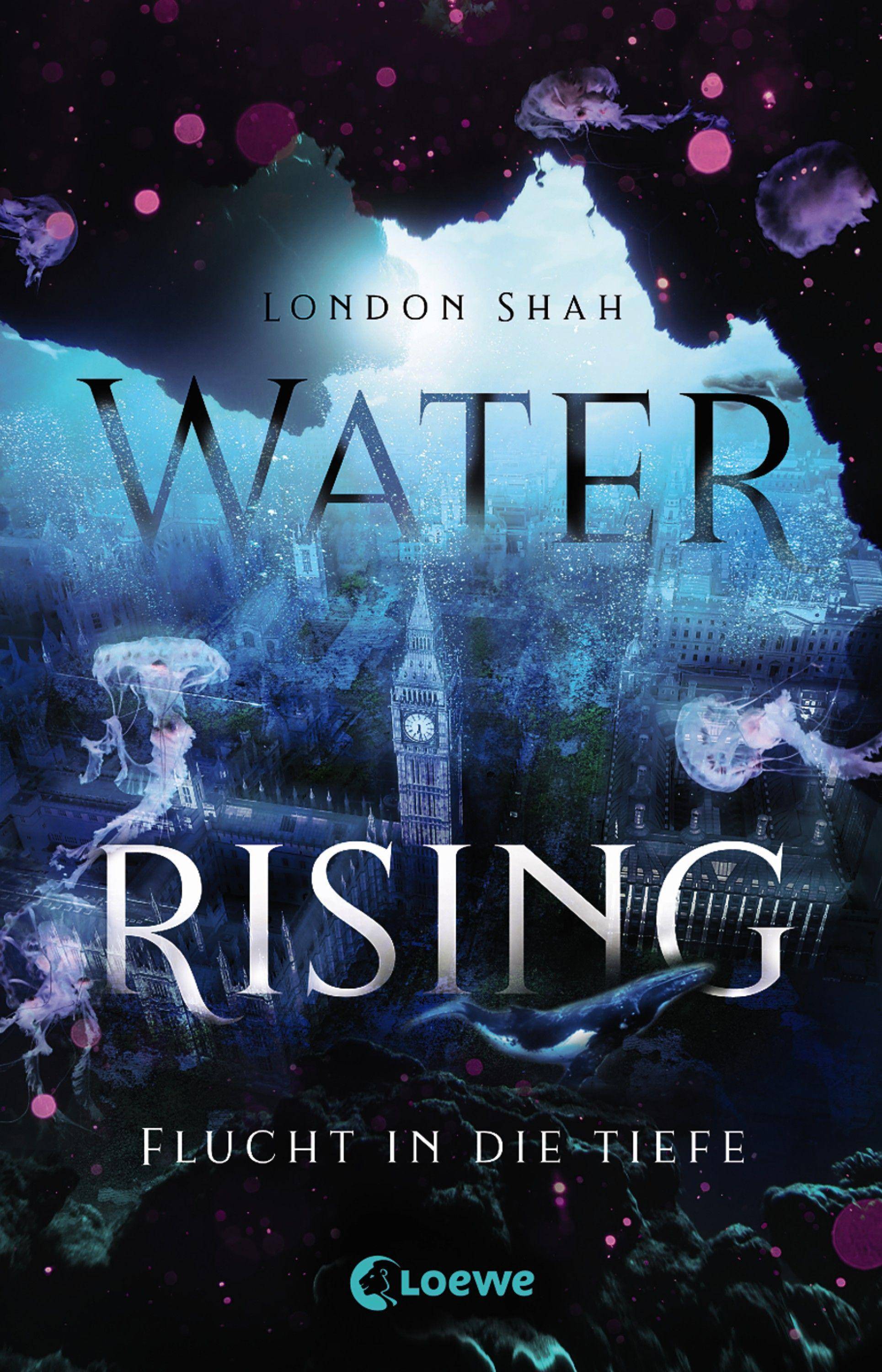 Water Rising - Flucht in die Tiefe Dystopischer Climate Thriller ab 14 Jahre
