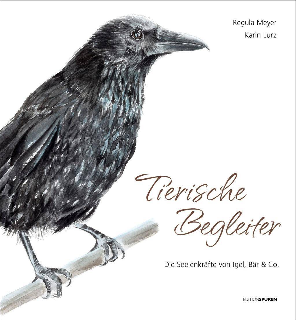Tierische Begleiter Die Seelenkräfte von Igel, Bär & Co