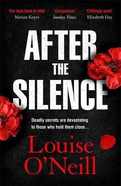 After the Silence The An Post Irish Crime Novel of the Year