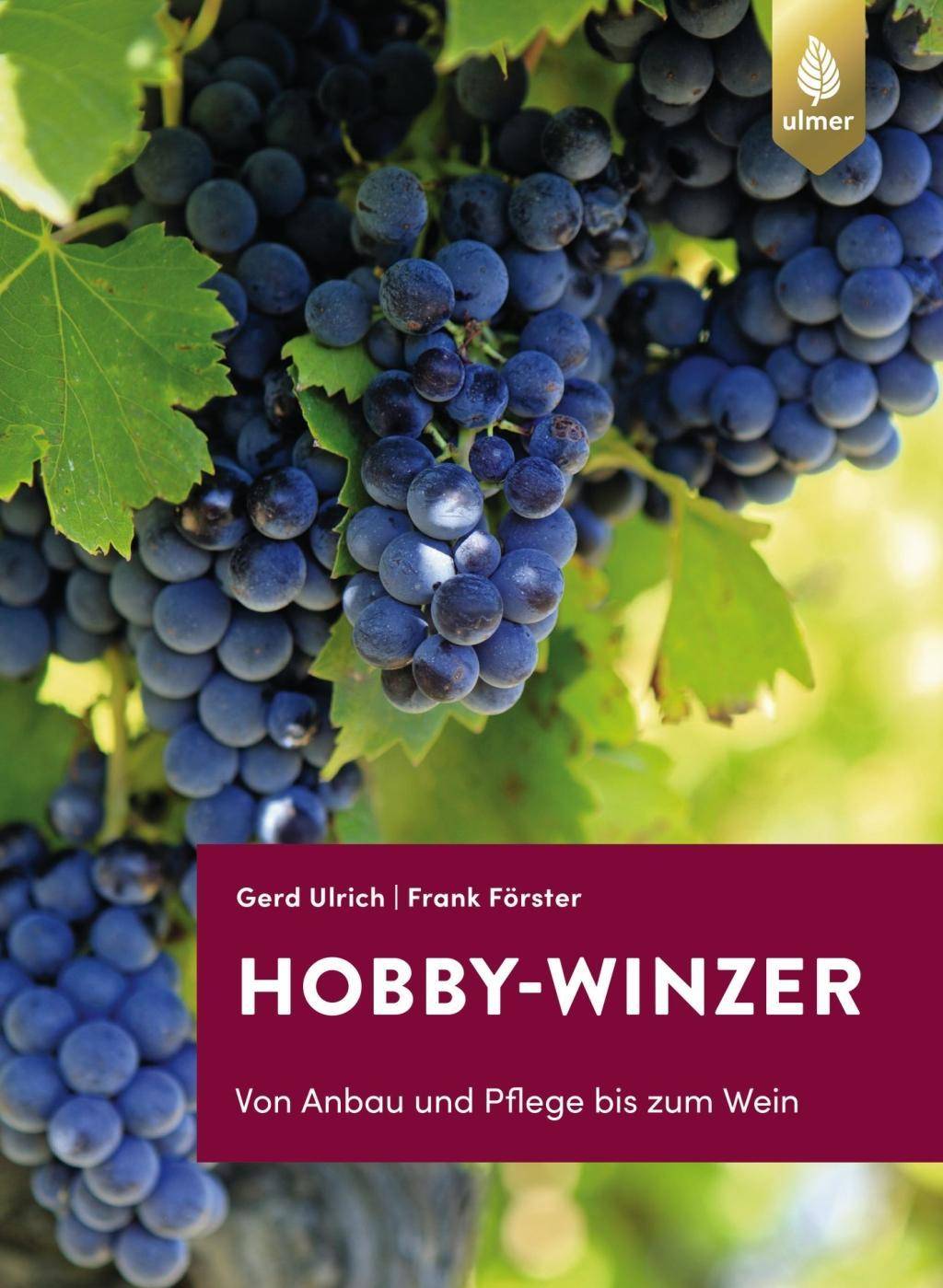 Hobby-Winzer Von Anbau und Pflege bis zum Wein