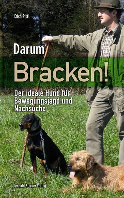 Darum Bracken! Der ideale Hund für Bewegungsjagd und Nachsuche