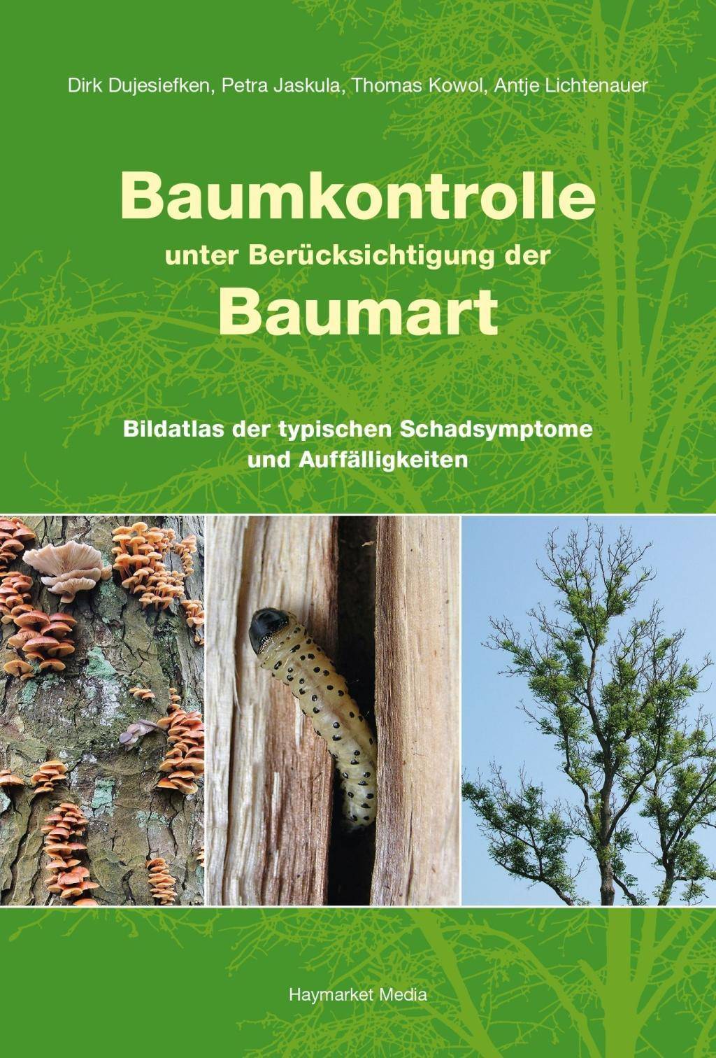 Baumkontrolle unter Berücksichtigung der Baumart Bildatlas der typischen Schadsymptome und Auffälligkeiten