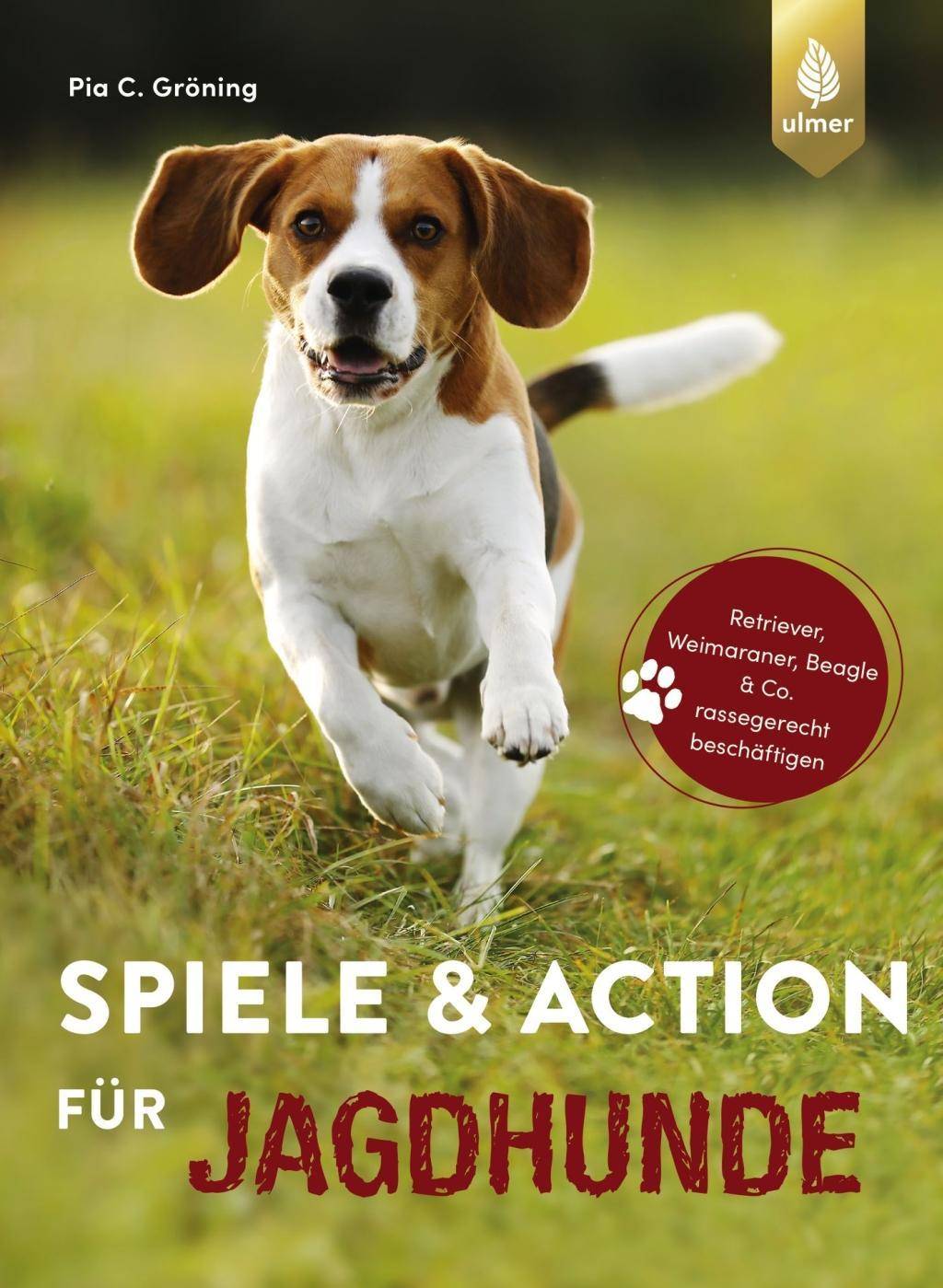 Spiele und Action für Jagdhunde Retriever, Weimaraner, Beagle und Co. rassegerecht beschäftigen