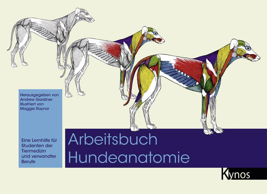 Arbeitsbuch Hundeanatomie Eine Lernhilfe für Studenten der Tiermedizin und verwandter Berufe