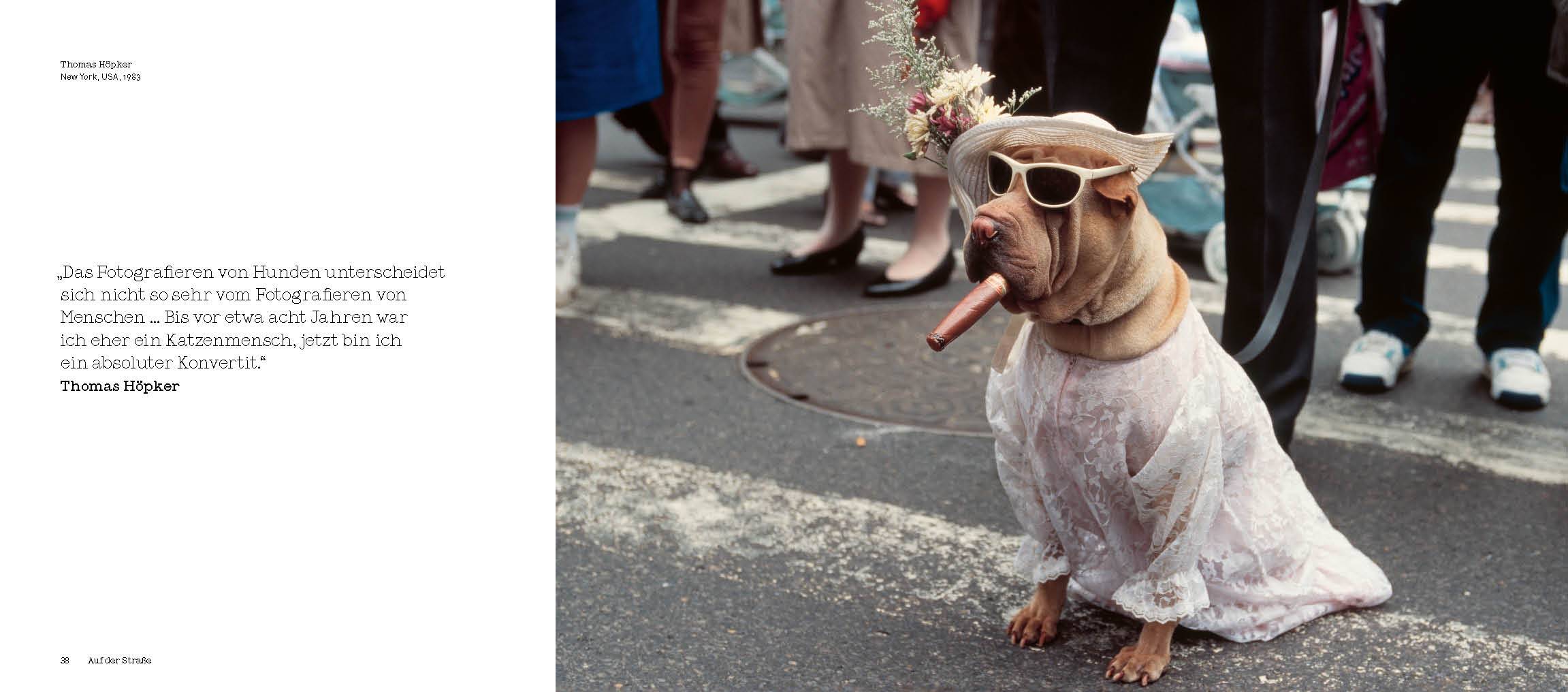 HUNDE Fotografien aus dem Magnum-Archiv