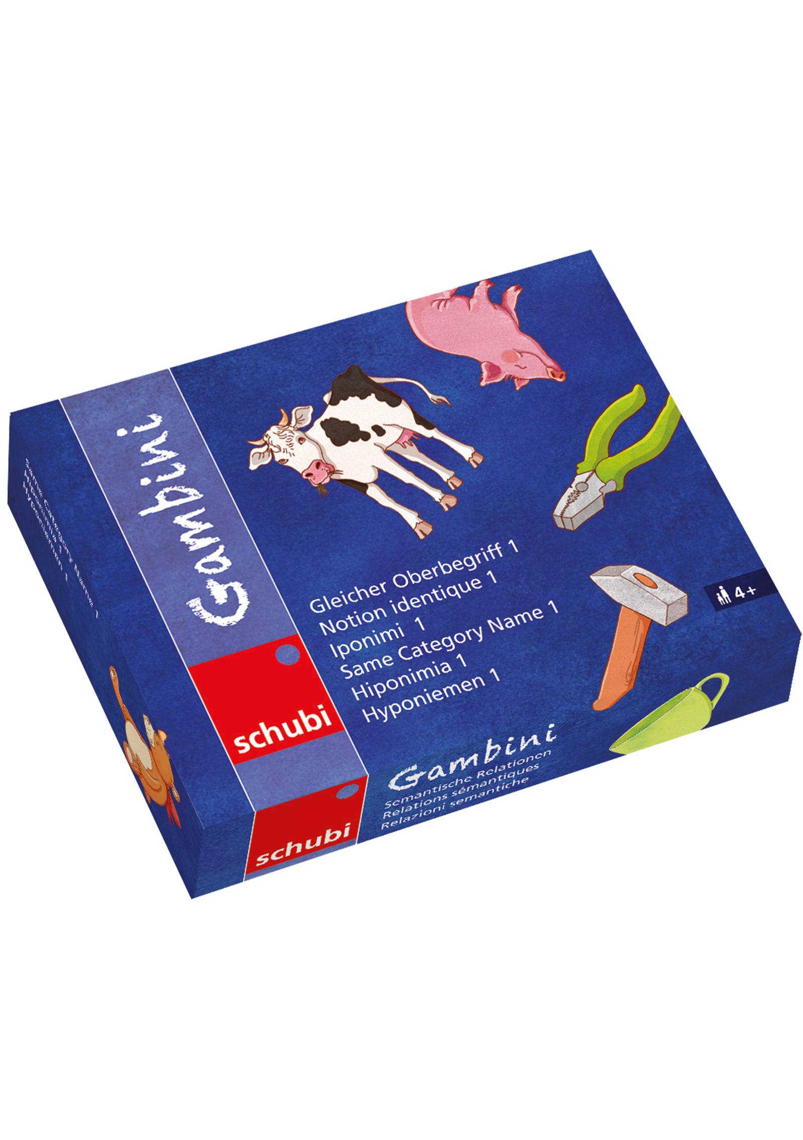 Gambini Gleicher Oberbegriff 1