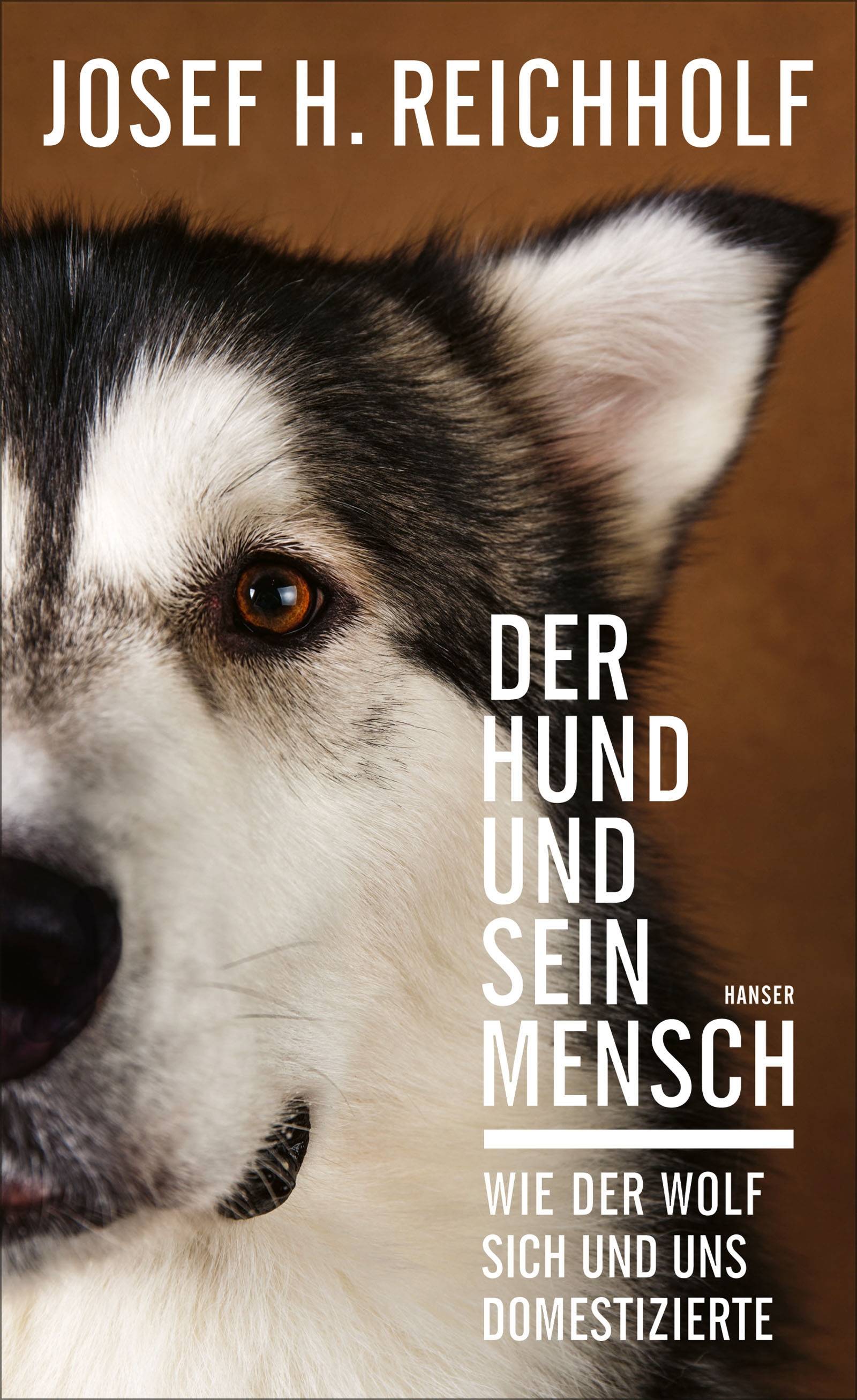 Der Hund und sein Mensch Wie der Wolf sich und uns domestizierte
