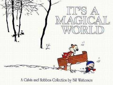It's a Magical World A Calvin & Hobbes Collection