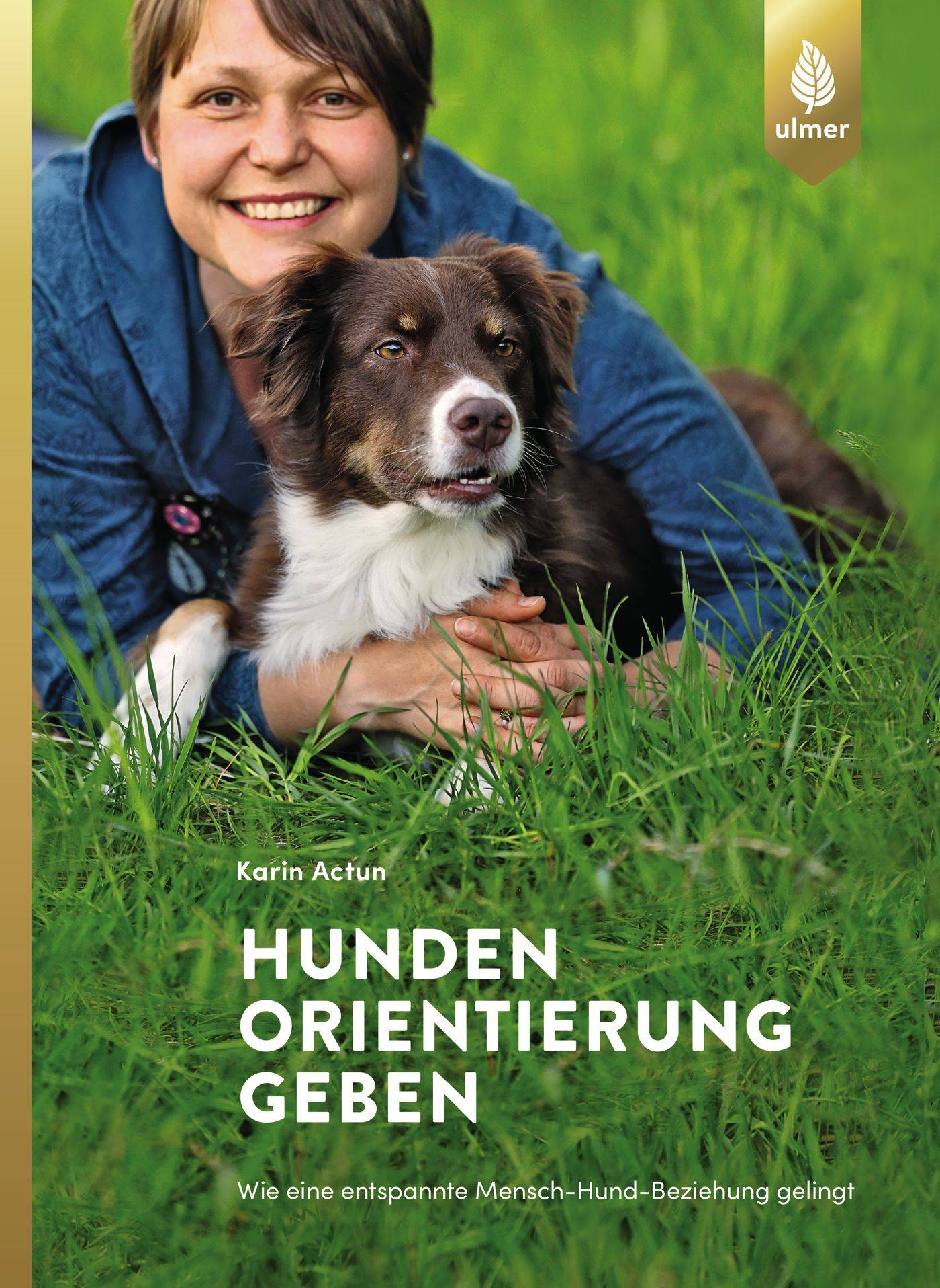 Hunden Orientierung geben Wie eine entspannte Mensch-Hund-Beziehung gelingt