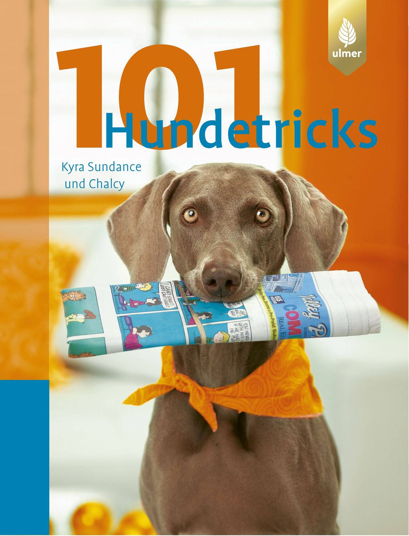 101 Hundetricks Aus dem Englischen von Claudia Händel