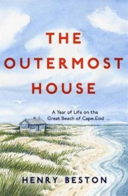 Artikeltemplate A Year of Life on the Great Beach of Cape Cod