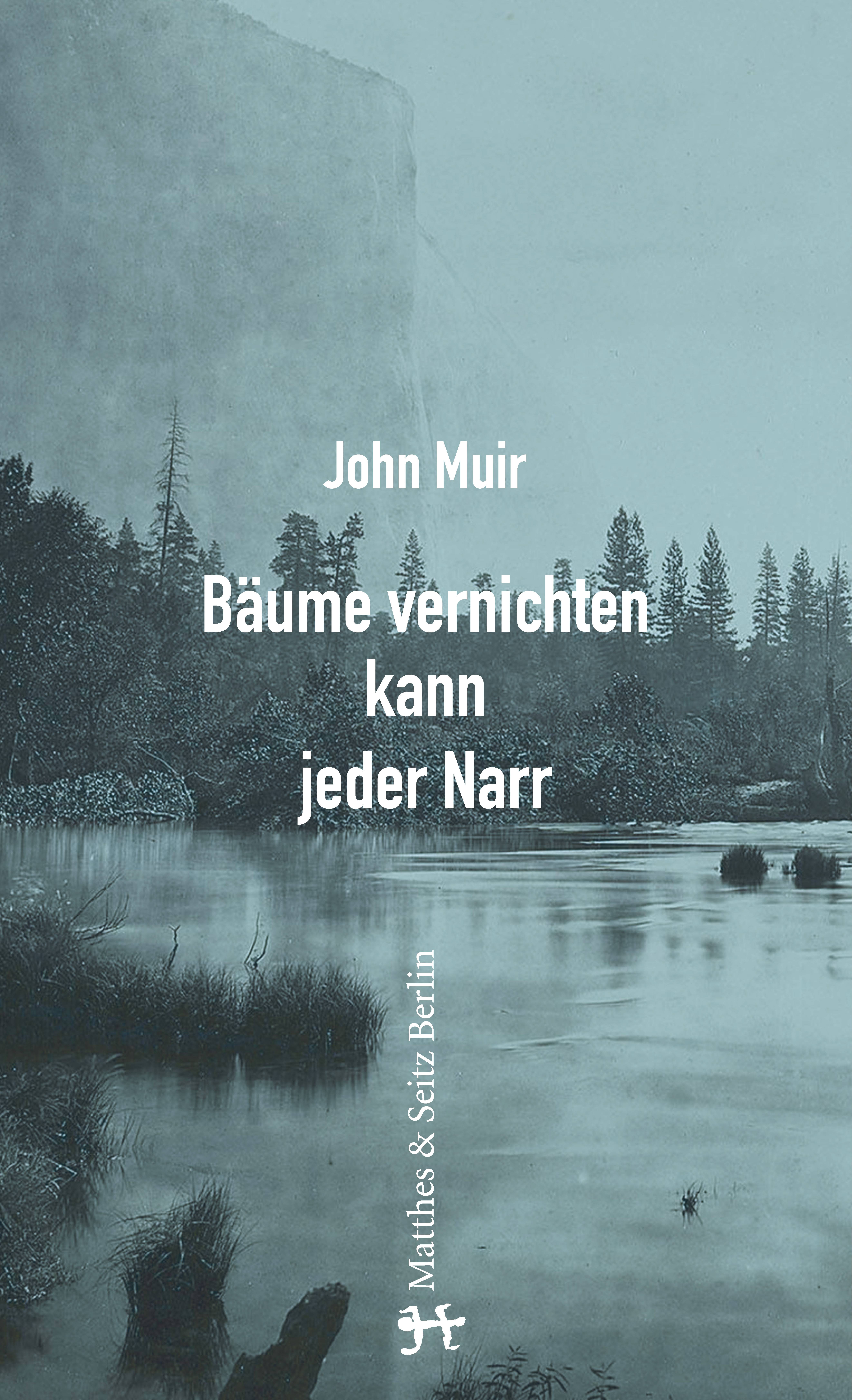 Bäume vernichten kann jeder Narr Essays und Aufzeichnungen