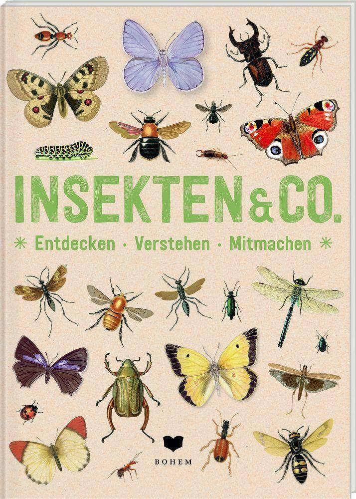 INSEKTEN & Co. Entdecken, Verstehen, Mitmachen
