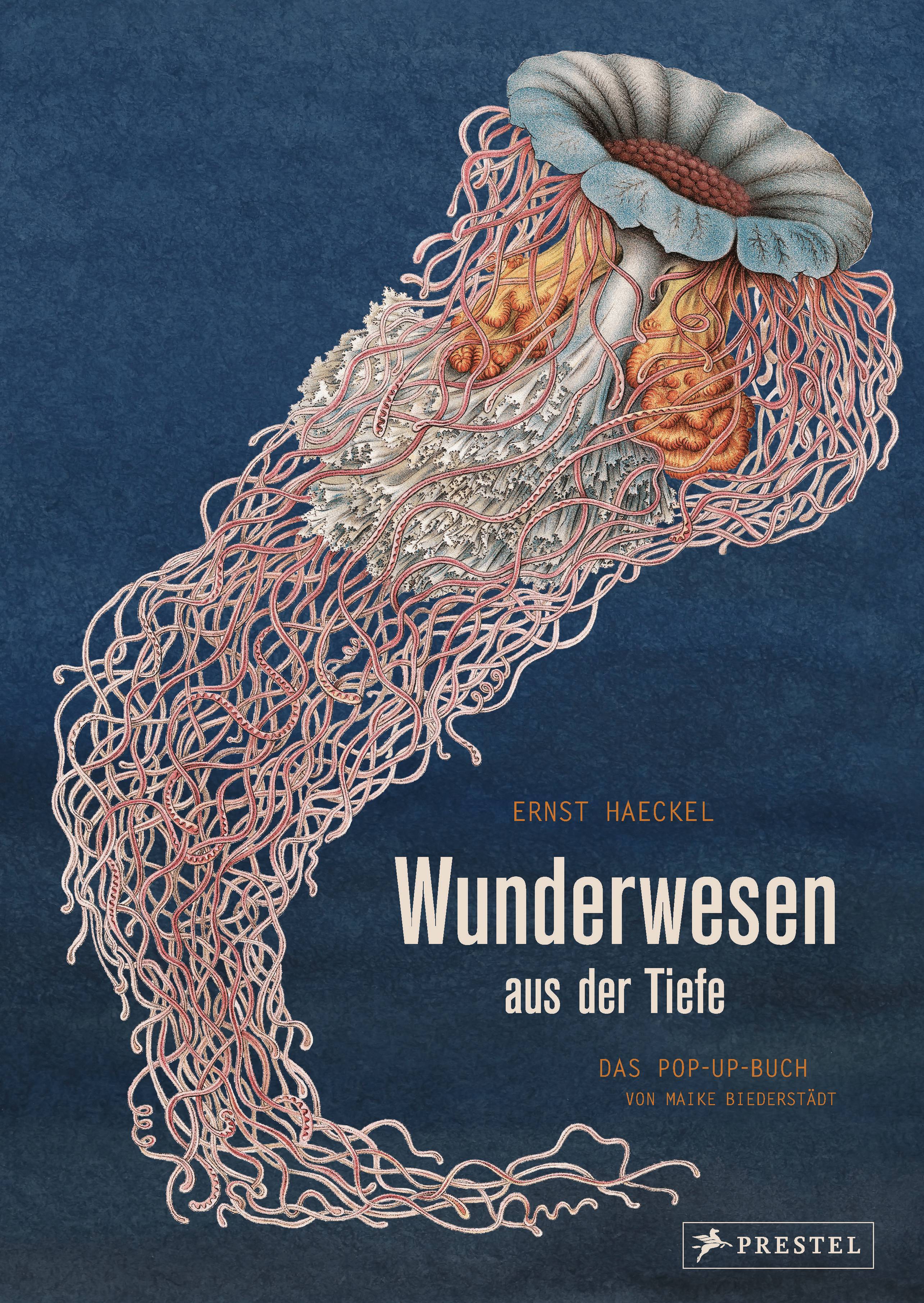 Wunderwesen aus der Tiefe. Ernst Haeckel Das Pop-up-Buch