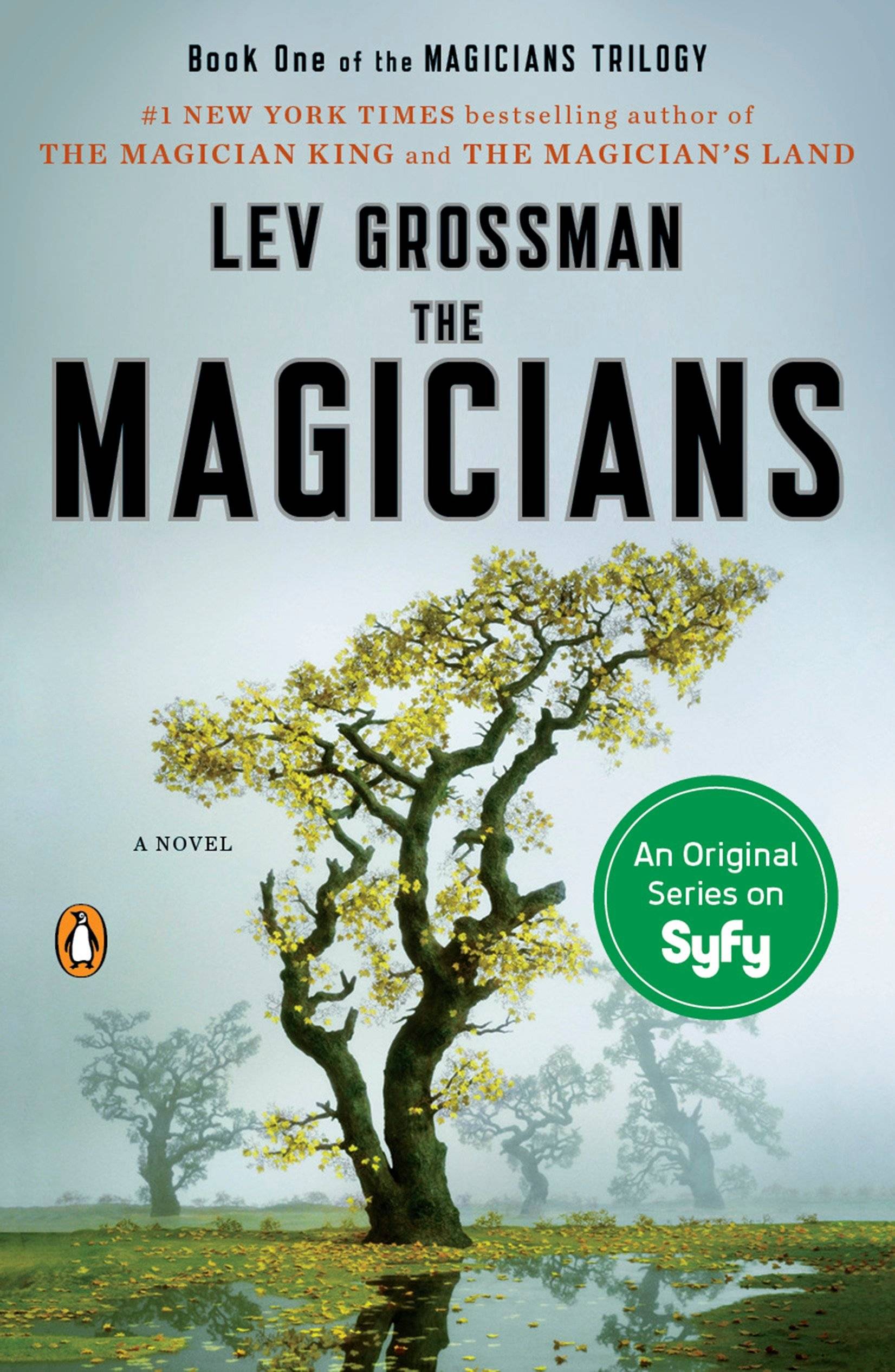 The Magicians A Novel, Magicians Trilogy 1