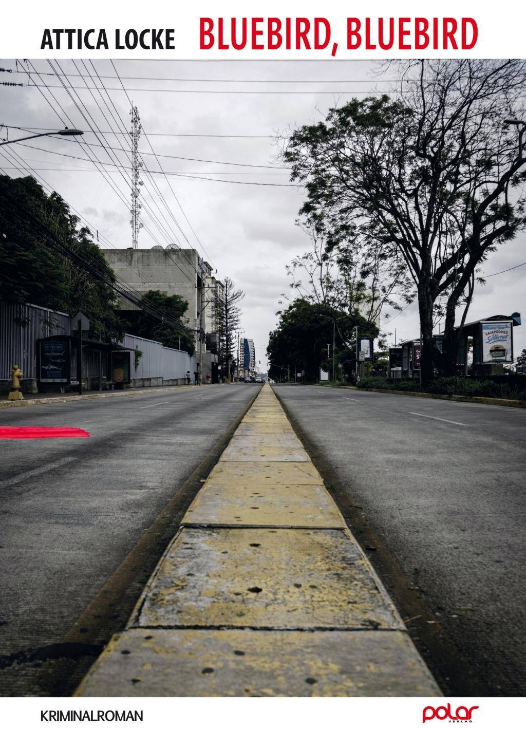 Bluebird, Bluebird Kriminalroman. Edgar Award Winner 2018 und den Ian Fleming Steel Dagger 2018