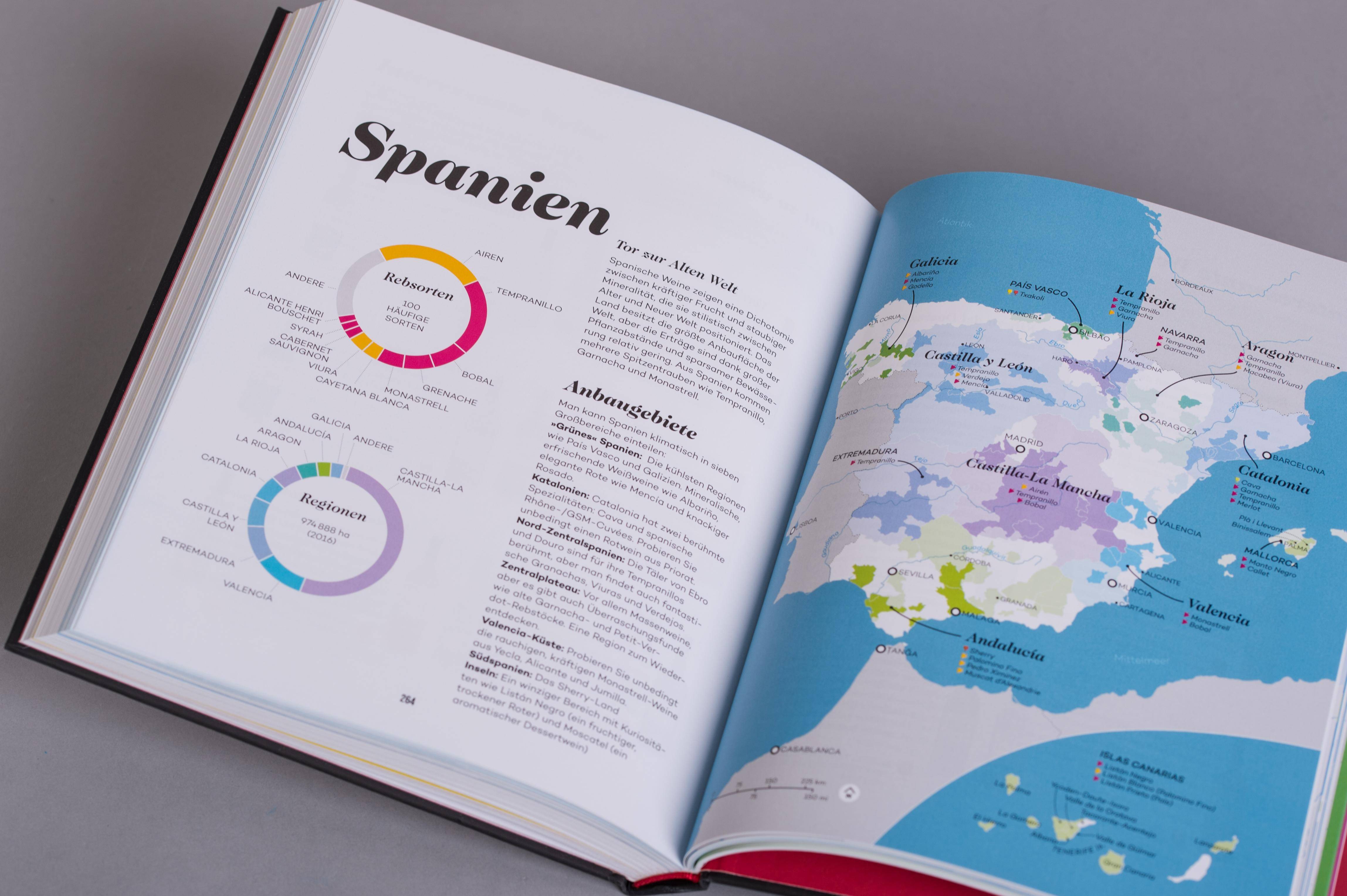 Der Master-Wein-Guide Die Magnum-Edition - Von den Machern von winefolly.com