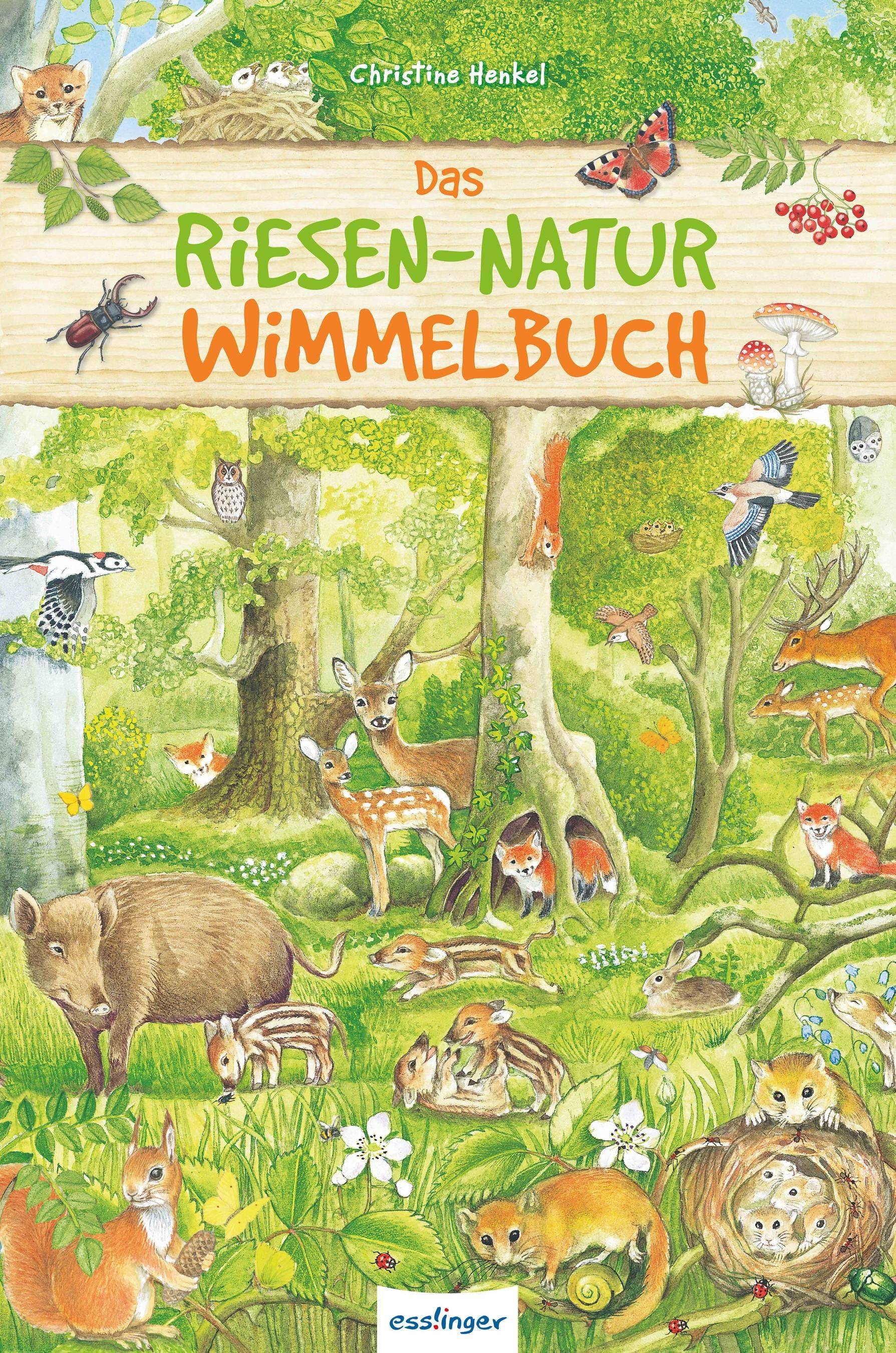 Das Riesen-Natur-Wimmelbuch Die Natur entdecken für Kinder ab 2 Jahren