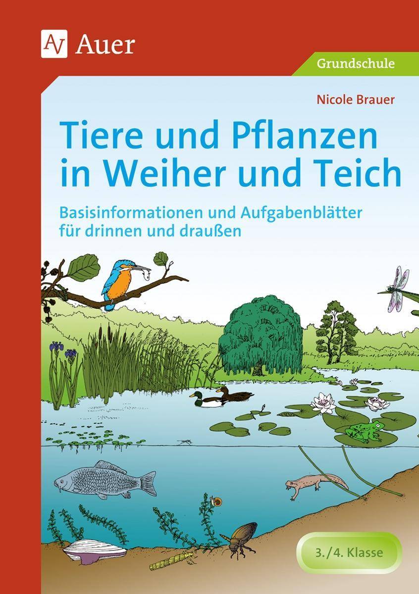 Tiere und Pflanzen in Weiher und Teich Basisinformationen und Aufgabenblätter für drinnen und draußen (3. und 4. Klasse)